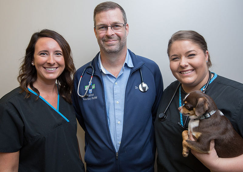 Carousel Slide 3: Twinbrook Veterinary Hospital Team